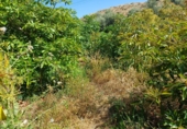 Terreny no urbanitzable en venda a Torrox ref.: TR234175 foto