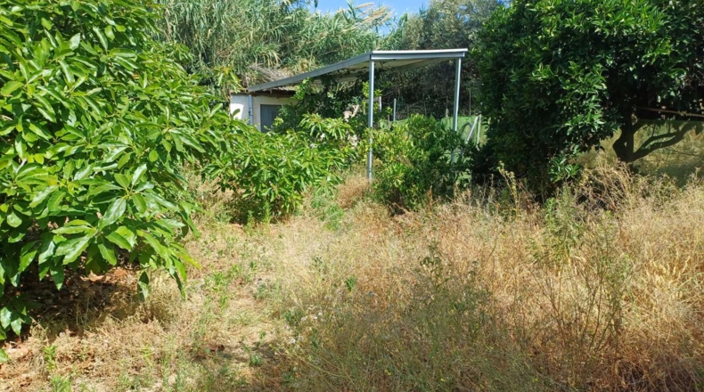 Málaga - Торрокс - 1500m2