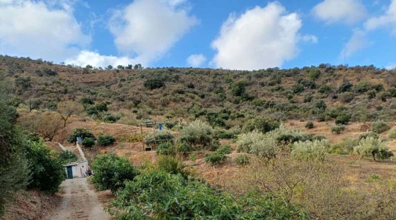 Málaga - Totalán - 15000m2