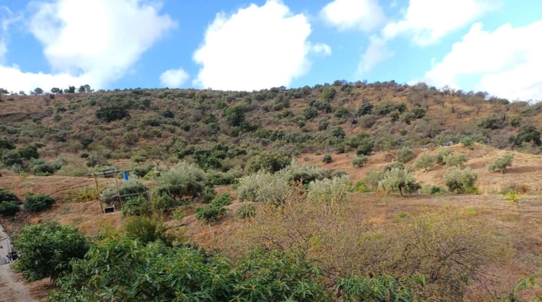 Málaga - Totalán - 15000m2
