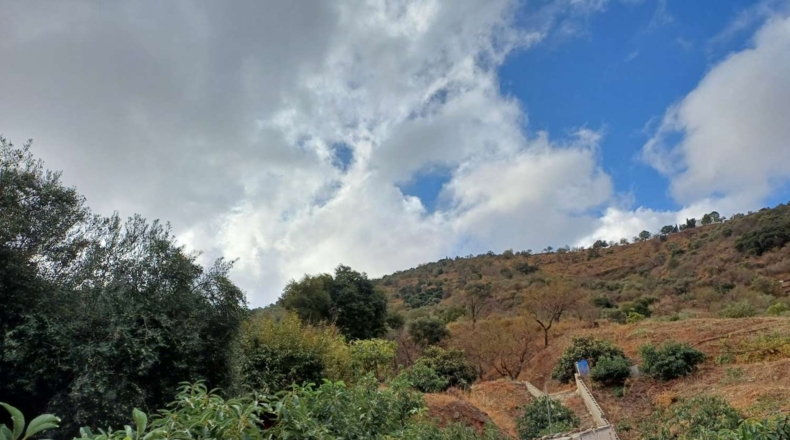 Málaga - Totalán - 15000m2