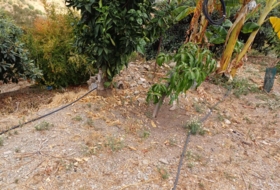 Foto 18