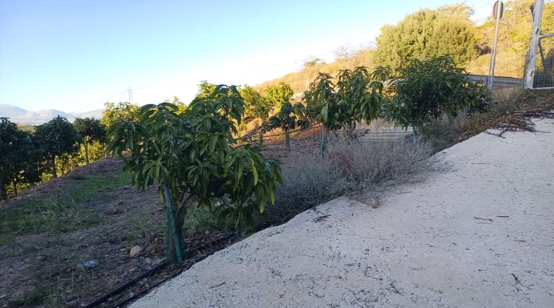 Málaga - Iznate - 70m2