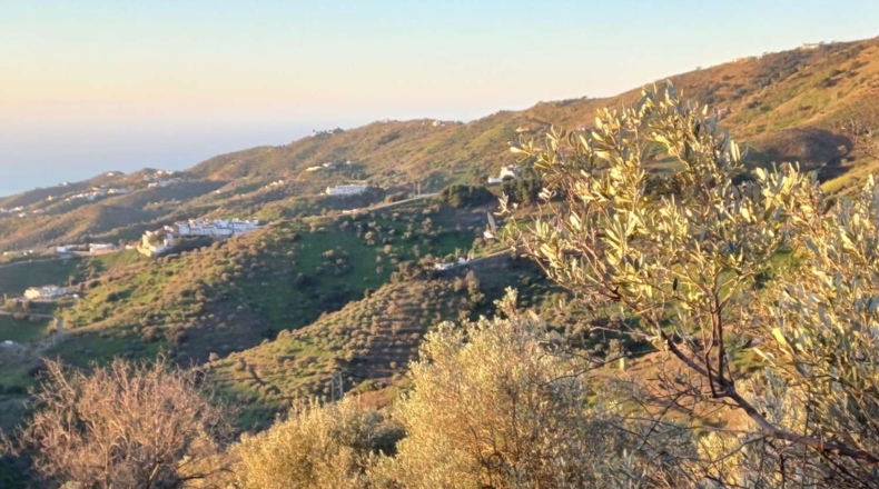 Málaga - Moclinejo - 41537m2