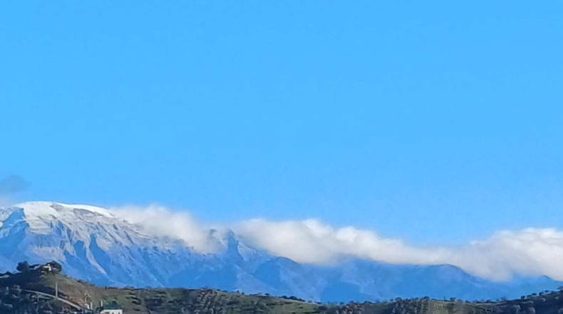 Málaga - Моклинехо - 9600m2