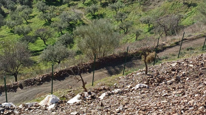 Málaga - Моклинехо - 9600m2