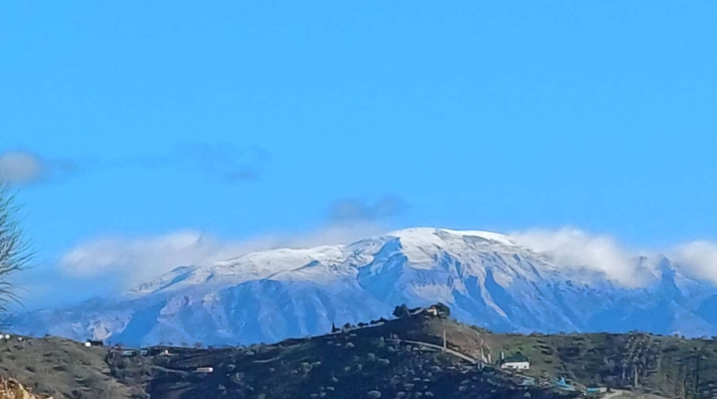 Málaga - Моклинехо - 9600m2