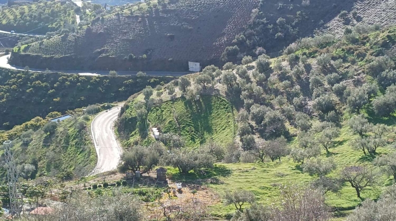Málaga - Моклинехо - 9600m2