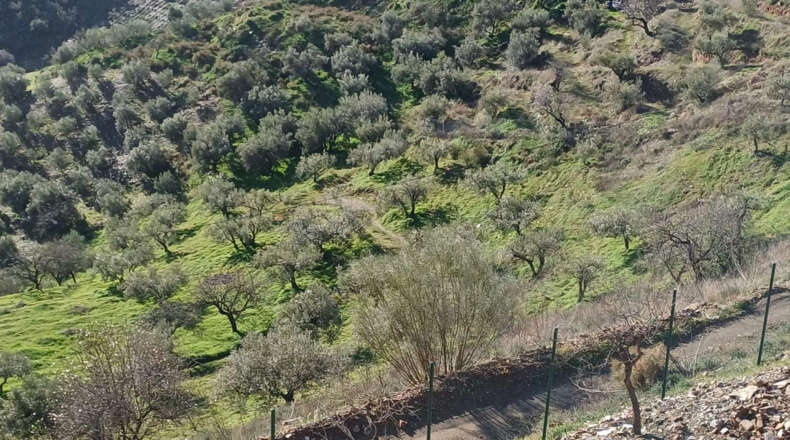Málaga - Моклинехо - 9600m2