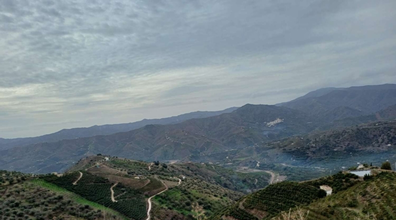 Málaga - Benamargosa - 9580m2
