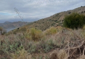 Земля на продажу у города Benamargosa. Фото