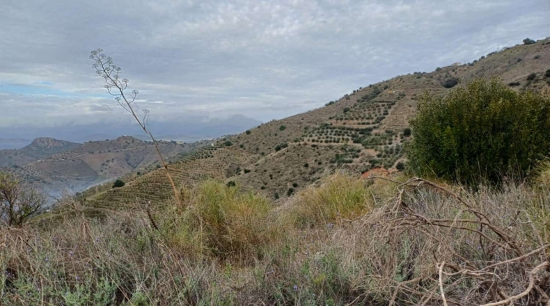 Málaga - Benamargosa - 9580m2