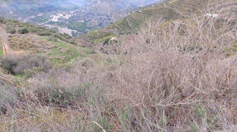 Málaga - Benamargosa - 9580m2