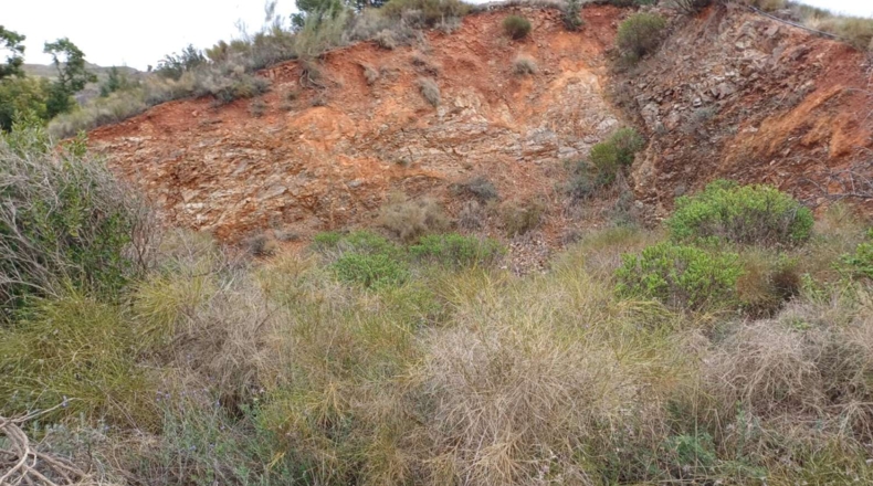 Málaga - Benamargosa - 9580m2