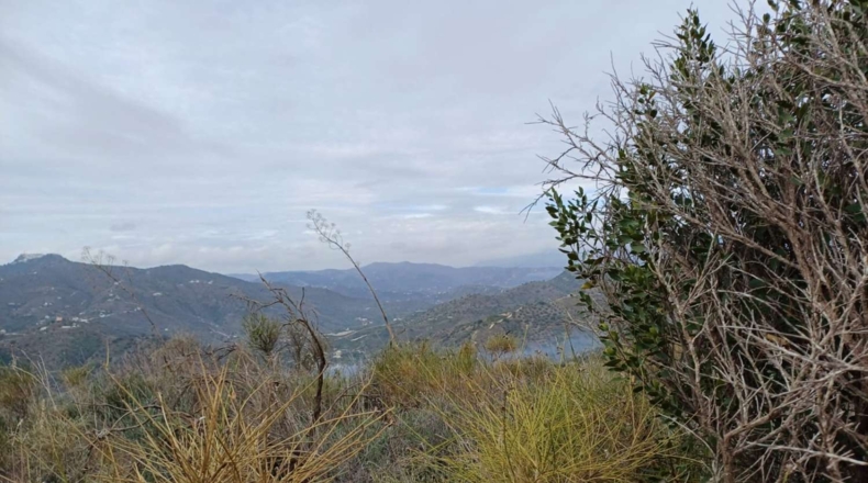 Málaga - Benamargosa - 9580m2