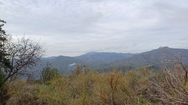 Málaga - Benamargosa - 9580m2