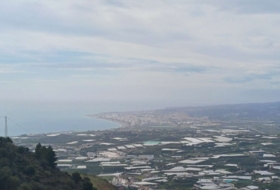 Algarrobo 12000&nbsp;m²