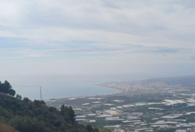 Algarrobo 12000&nbsp;m²