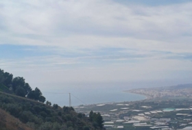Algarrobo 12000&nbsp;m²