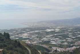 Algarrobo 12000&nbsp;m²