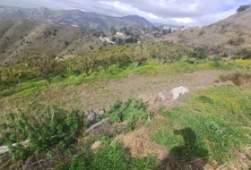 Algarrobo 12000&nbsp;m²