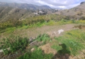 Non-developable land for sale in Algarrobo ref: TR380372 photo