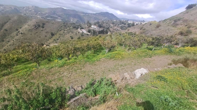 Malaga - Algarrobo - 12000m2