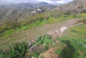 Algarrobo 12000&nbsp;m²