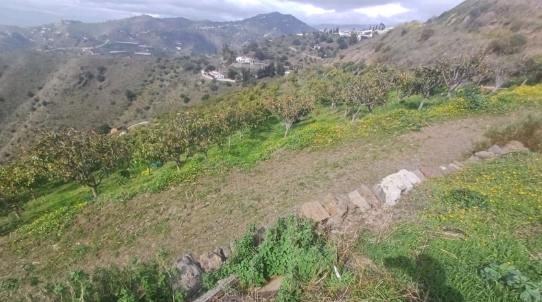 Malaga - Algarrobo - 12000m2