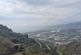 Algarrobo 12000&nbsp;m²