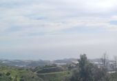 Non-developable land for sale in Algarrobo ref: TR380372 photo