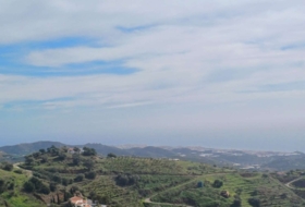 Algarrobo 12000&nbsp;m²
