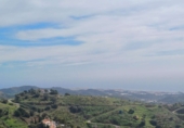 Non-developable land for sale in Algarrobo ref: TR380372 photo