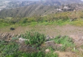 Non-developable land for sale in Algarrobo ref: TR380372 photo