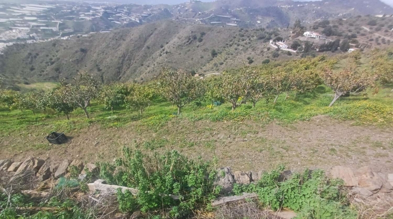 Malaga - Algarrobo - 12000m2