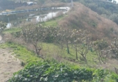 Non-developable land for sale in Algarrobo ref: TR380372 photo