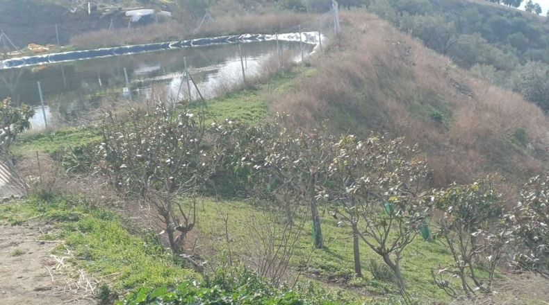 Malaga - Algarrobo - 12000m2