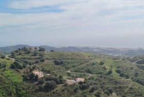 Algarrobo 12000&nbsp;m²