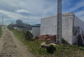 Algarrobo 12000&nbsp;m²