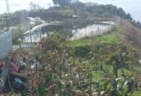 Algarrobo 12000&nbsp;m²
