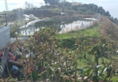 Non-developable land for sale in Algarrobo ref: TR380372 photo