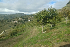 Algarrobo 12000&nbsp;m²