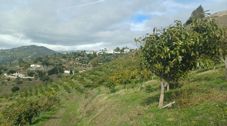 Malaga - Algarrobo - 12000m2