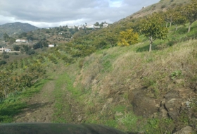 Algarrobo 12000&nbsp;m²