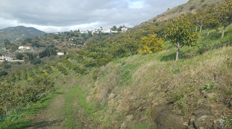 Malaga - Algarrobo - 12000m2