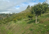 Non-developable land for sale in Algarrobo ref: TR380372 photo