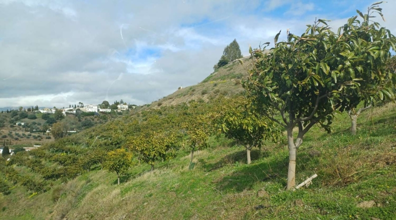 Malaga - Algarrobo - 12000m2