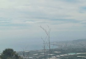 Algarrobo 12000&nbsp;m²
