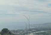 Non-developable land for sale in Algarrobo ref: TR380372 photo