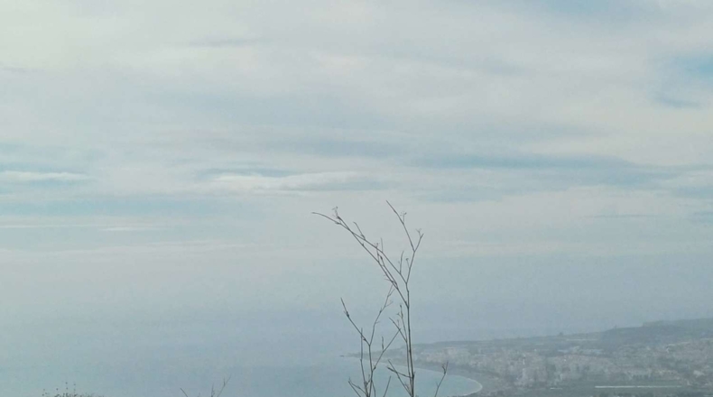 Malaga - Algarrobo - 12000m2